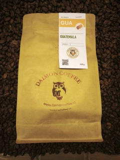 QUATEMALA GENUINE WASHED ANTIGUA FINCA MEDINA APCA